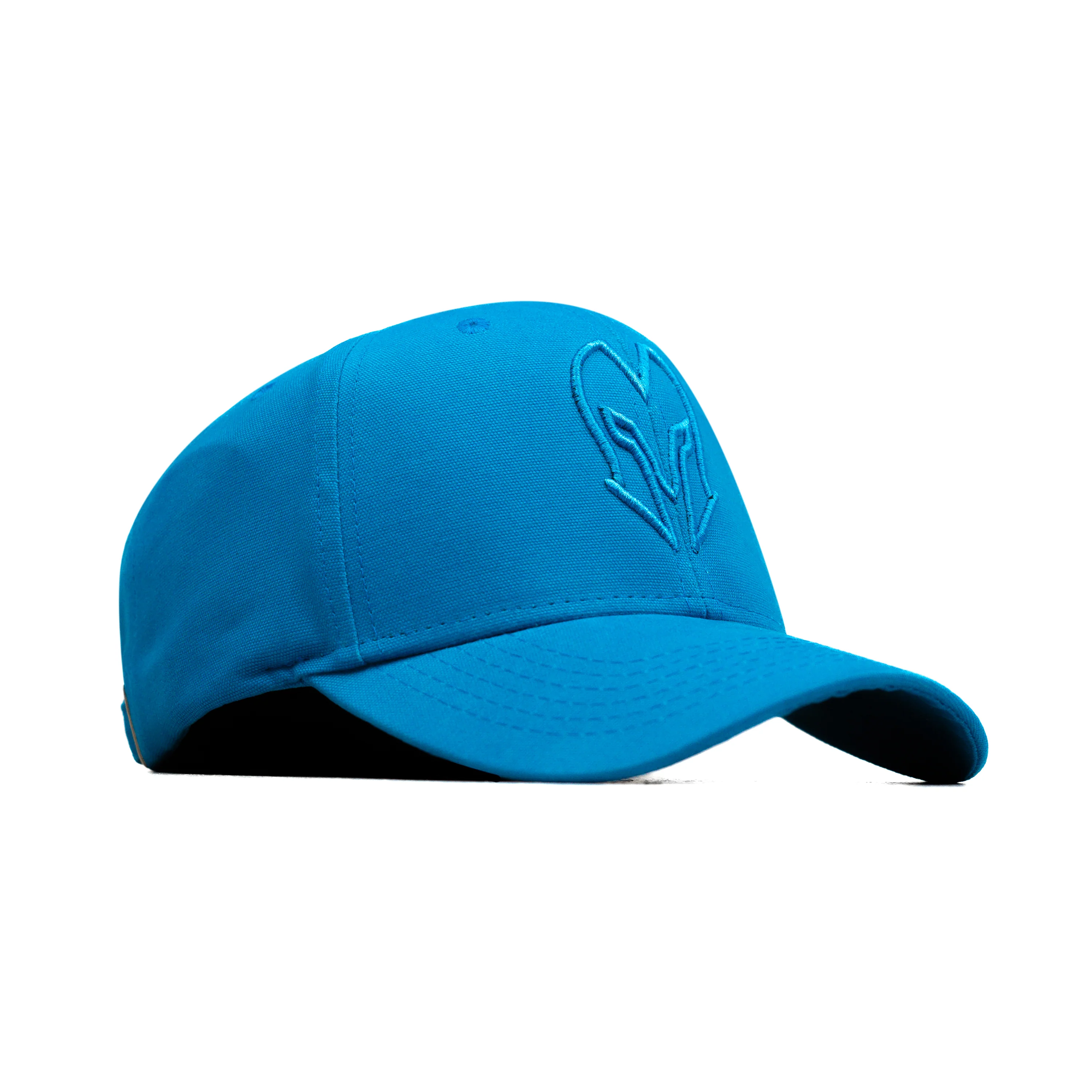 HEAD GEAR BLUE SUPER CANVAS CAP - Image 3